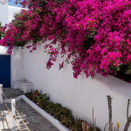 Olive Tree, 2brm With Pool Appartement *